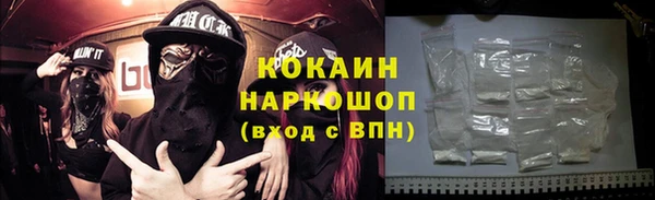 шишки Сатка