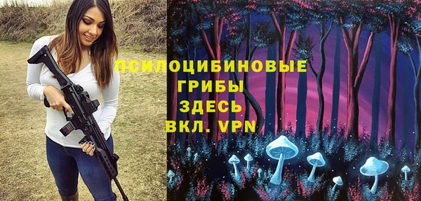 твердый Абаза