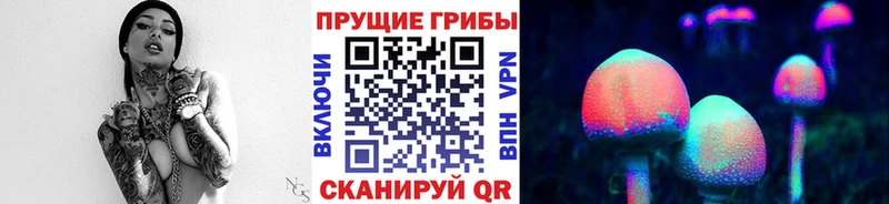кракен вход  закладки  Бобров  Галлюциногенные грибы GOLDEN TEACHER 